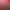 https://shared.akamai.steamstatic.com/store_item_assets/steam/apps/1570070/header.jpg?t=1745837019