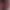 https://shared.akamai.steamstatic.com/store_item_assets/steam/apps/1571730/header.jpg?t=1648517555