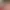 https://shared.akamai.steamstatic.com/store_item_assets/steam/apps/1572790/header.jpg?t=1616666898