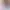 https://shared.akamai.steamstatic.com/store_item_assets/steam/apps/1576590/header.jpg?t=1732735150