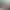 https://shared.akamai.steamstatic.com/store_item_assets/steam/apps/1577080/header.jpg?t=1730383361