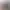 https://shared.akamai.steamstatic.com/store_item_assets/steam/apps/1578100/header.jpg?t=1619768006