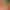 https://shared.akamai.steamstatic.com/store_item_assets/steam/apps/1578240/header.jpg?t=1749917276