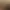 https://shared.akamai.steamstatic.com/store_item_assets/steam/apps/1581450/header.jpg?t=1744753017