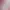 https://shared.akamai.steamstatic.com/store_item_assets/steam/apps/1585700/header.jpg?t=1727937552