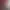 https://shared.akamai.steamstatic.com/store_item_assets/steam/apps/1588040/header.jpg?t=1629910821