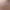 Gamer Girls 18+: Artbook + Wallpaper.