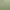 https://shared.akamai.steamstatic.com/store_item_assets/steam/apps/1589570/header.jpg?t=1745228931