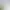 GAI Stops Auto: Right Version Simulator.