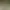 GAI Stops Auto: Right Version Simulator.
