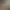 GAI Stops Auto: Right Version Simulator.