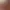 https://shared.akamai.steamstatic.com/store_item_assets/steam/apps/1599860/header.jpg?t=1726133447