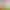 https://shared.akamai.steamstatic.com/store_item_assets/steam/apps/1610120/header.jpg?t=1666038232