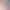 https://shared.akamai.steamstatic.com/store_item_assets/steam/apps/1611300/header.jpg?t=1748783341