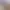 https://shared.akamai.steamstatic.com/store_item_assets/steam/apps/1612770/header.jpg?t=1749138335