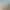 https://shared.akamai.steamstatic.com/store_item_assets/steam/apps/1613281/header.jpg?t=1703992121