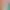 https://shared.akamai.steamstatic.com/store_item_assets/steam/apps/1615560/header.jpg?t=1621073882
