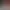 https://shared.akamai.steamstatic.com/store_item_assets/steam/apps/1621070/1ae5e5ce4177f6adaeb00ccf4ed277409f6218a6/header.jpg?t=1742580239