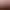 https://shared.akamai.steamstatic.com/store_item_assets/steam/apps/1621760/header.jpg?t=1739972091