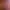 https://shared.akamai.steamstatic.com/store_item_assets/steam/apps/1628370/header.jpg?t=1652910461