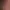 https://shared.akamai.steamstatic.com/store_item_assets/steam/apps/1631090/header.jpg?t=1725004063