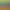https://shared.akamai.steamstatic.com/store_item_assets/steam/apps/1641600/header.jpg?t=1749059712