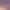 https://shared.akamai.steamstatic.com/store_item_assets/steam/apps/1650200/header.jpg?t=1741711872