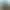 https://shared.akamai.steamstatic.com/store_item_assets/steam/apps/1650830/header.jpg?t=1697813944