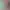 https://shared.akamai.steamstatic.com/store_item_assets/steam/apps/1651540/header.jpg?t=1748014272