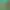 https://shared.akamai.steamstatic.com/store_item_assets/steam/apps/1656820/header.jpg?t=1725353088