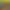 https://shared.akamai.steamstatic.com/store_item_assets/steam/apps/1667190/header.jpg?t=1703159648