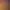 https://shared.akamai.steamstatic.com/store_item_assets/steam/apps/1667360/header.jpg?t=1710103730