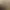 https://shared.akamai.steamstatic.com/store_item_assets/steam/apps/1681840/header.jpg?t=1747762225