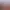 https://shared.akamai.steamstatic.com/store_item_assets/steam/apps/1683900/header.jpg?t=1726173017