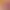 https://shared.akamai.steamstatic.com/store_item_assets/steam/apps/1701660/header.jpg?t=1725085127
