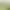 https://shared.akamai.steamstatic.com/store_item_assets/steam/apps/1709730/header.jpg?t=1728898463