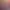 https://shared.akamai.steamstatic.com/store_item_assets/steam/apps/1714320/header.jpg?t=1742824985