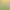 https://shared.akamai.steamstatic.com/store_item_assets/steam/apps/1715950/header.jpg?t=1744631051