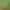 https://shared.akamai.steamstatic.com/store_item_assets/steam/apps/1720860/header_russian.jpg?t=1633730814