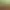 https://shared.akamai.steamstatic.com/store_item_assets/steam/apps/1721690/header.jpg?t=1729156784
