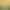 https://shared.akamai.steamstatic.com/store_item_assets/steam/apps/1722840/header.jpg?t=1737566771