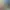https://shared.akamai.steamstatic.com/store_item_assets/steam/apps/1724810/34c032d4f458528ce12c5700057946acc6395aec/header.jpg?t=1750350681