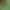 Pathless Woods.