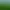Slime Factory.