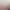 https://shared.akamai.steamstatic.com/store_item_assets/steam/apps/1737110/header.jpg?t=1743396289