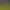 https://shared.akamai.steamstatic.com/store_item_assets/steam/apps/1741390/header.jpg?t=1726593003