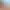 https://shared.akamai.steamstatic.com/store_item_assets/steam/apps/1754790/header.jpg?t=1733137208