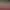 https://shared.akamai.steamstatic.com/store_item_assets/steam/apps/1754870/header.jpg?t=1749474910