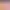 Crypto Girls [18+] - SEXCoin.