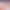 Crypto Girls [18+] - SEXCoin.